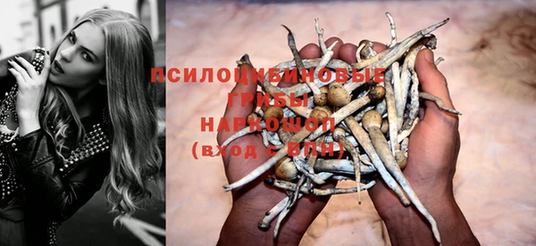 соль курить ск Дмитриев