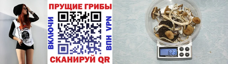 Галлюциногенные грибы мицелий  Купить  Ишим 